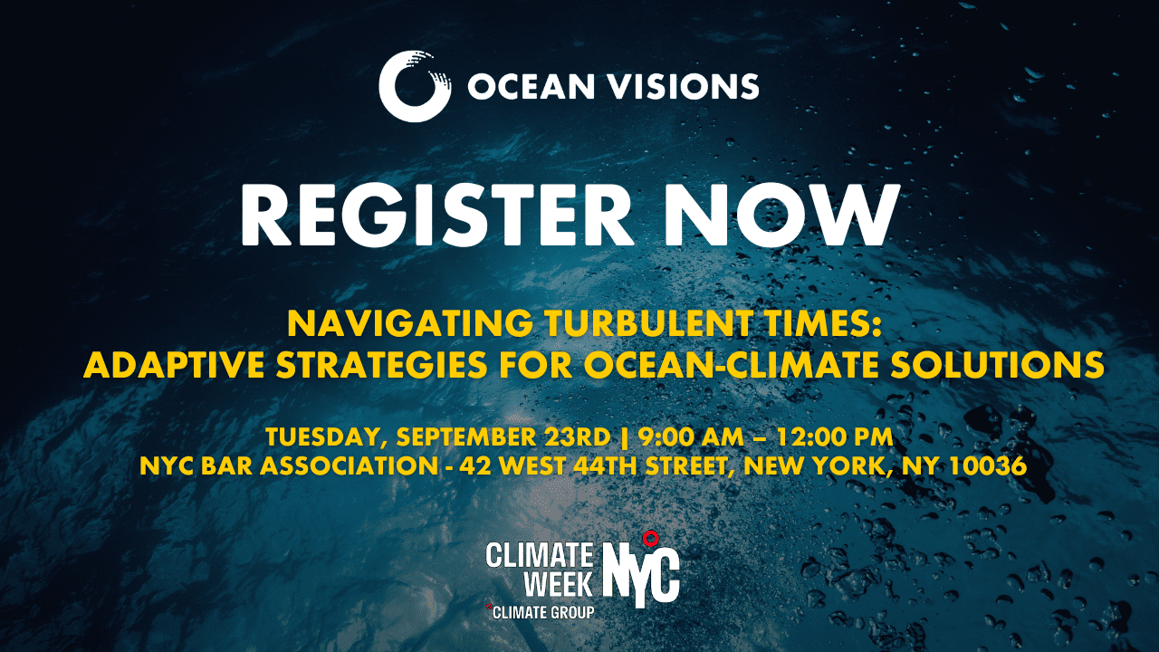 Navigating Turbulent Times: Adaptive Str